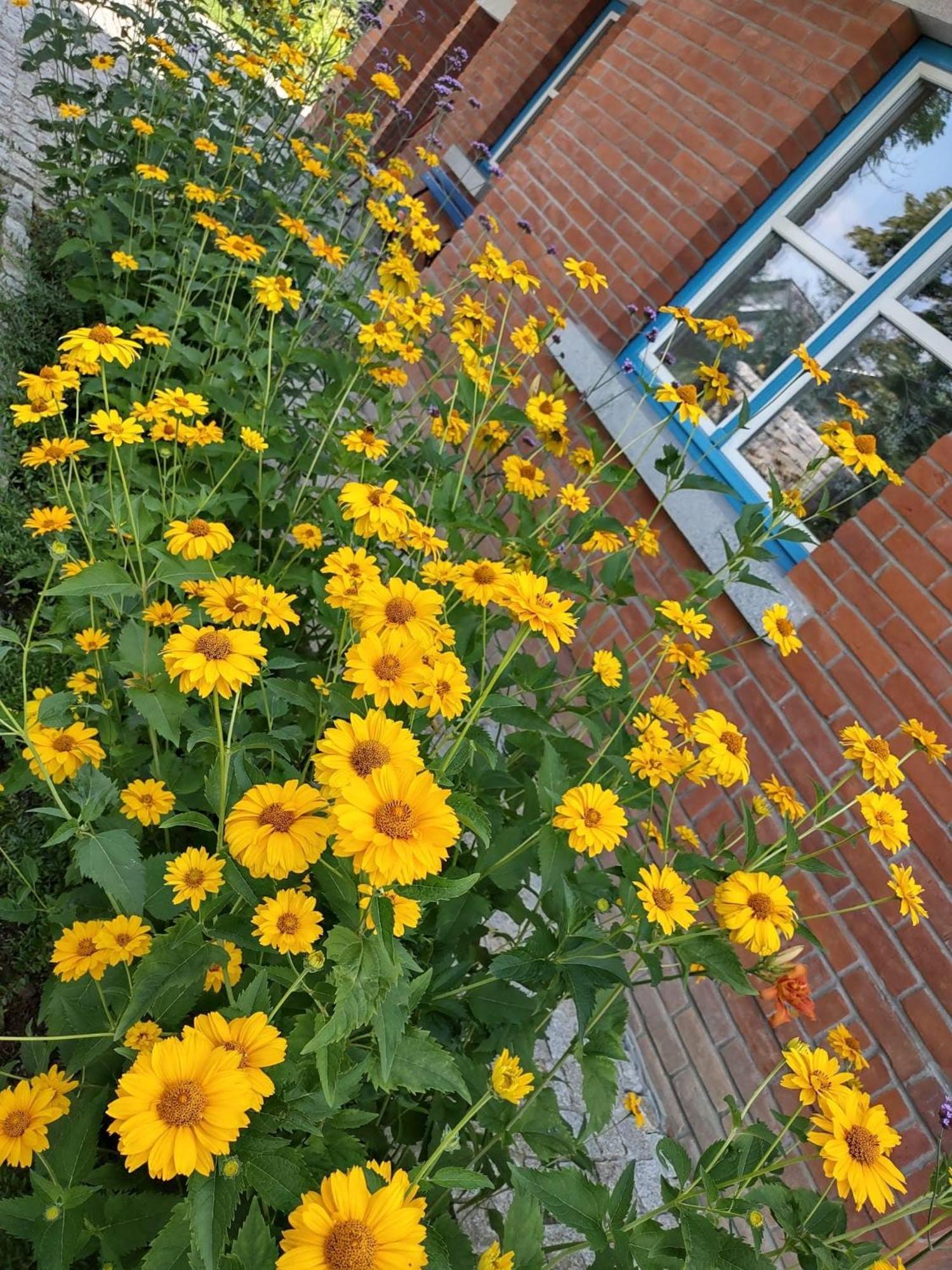 크라쿠프 U Janciow 빌라 외부 사진